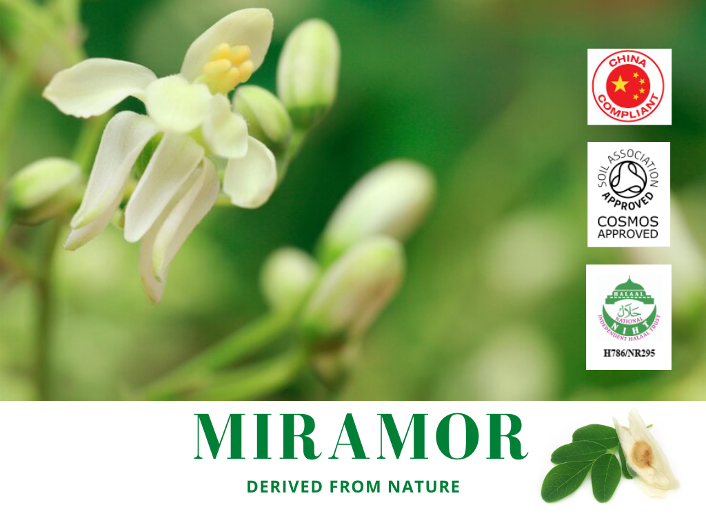 Miramor    สารสกัดจากใบมะรุม  อุดมด้วยสารPolyphenol และVitamin C ปริมาณสูง ชะลอความแก่ชราของเซลล์ผิว แลดูอ่อนเยาว์