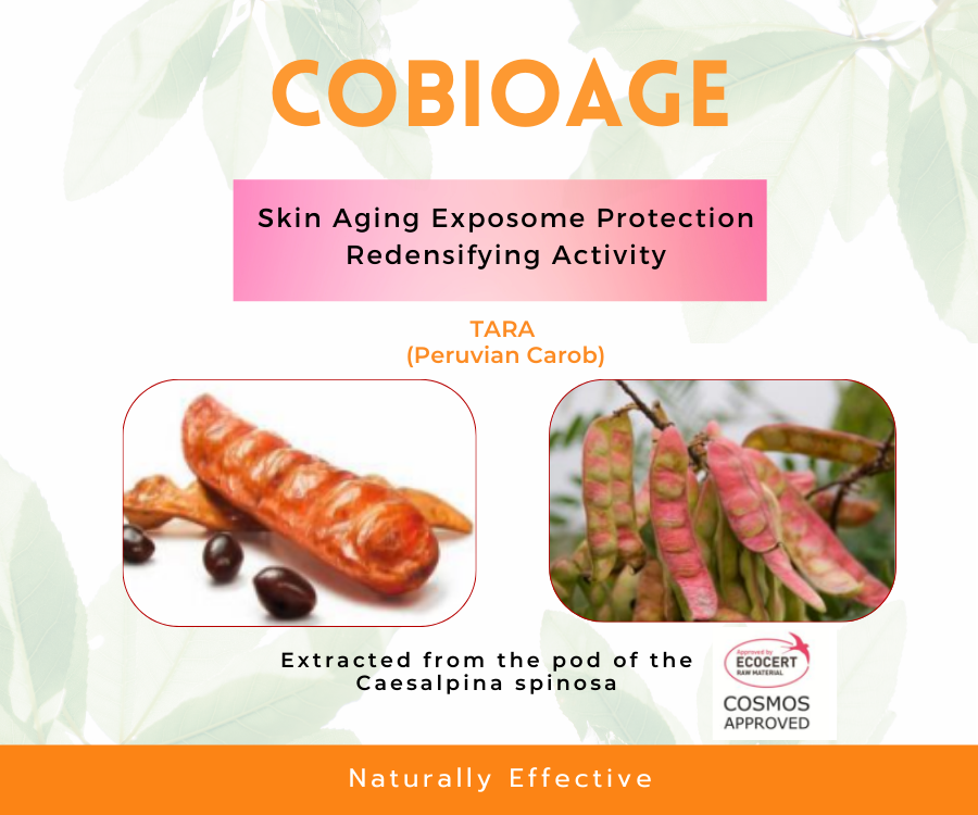 Cobioage     สารสกัดจากฝักต้นTara อุดมด้วยสารต้านอนุมูลอิสระ   ช่วยต่อต้านกระบวนการ  Glycation สาเหตุของการเกิดริ้วรอย 