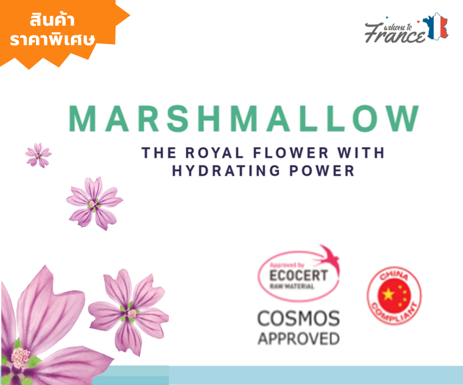 Marshmallow Flower อุดมด้วยสารต้านอนุมูลอิสระและน้ำตาล ช่วยผิวชุ่มชื้น เนียนนุ่มละมุน และปกป้องผิวจากมลภาวะ ให้ผิวแข็งแรงขึ้น