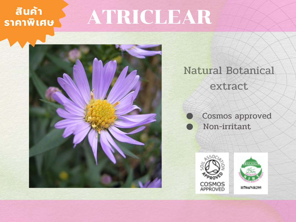 Atriclear  สารสกัดจากพืช Athrixia phylicoides ช่วยกระชับรูขุมขน ปรับสภาพผิว ผิวกระชับ เรียบเนียนขึ้น