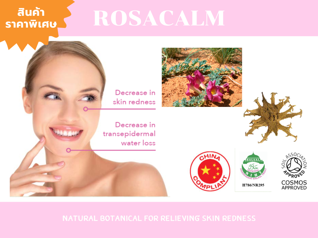 Rosacalm สารสกัดจากพืช Devil Claw หรือ กรงเล็บปีศาจ ช่วยลดรอยแดง ลดการอักเสบ ฟื้นฟูผิวให้แข็งแรง