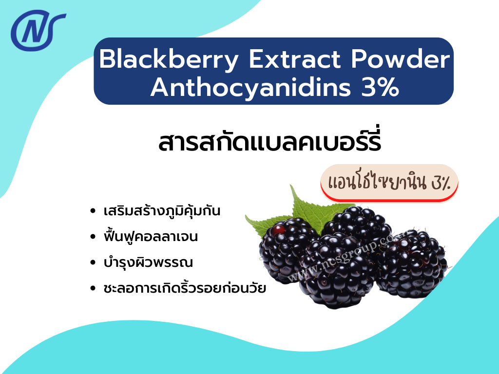 Blackberry Extract Powder Anthocyanidins 3%