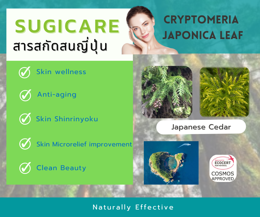 Sugicare    สารสกัดจากใบต้นสนญี่ปุ่น(Japanese cedar)  ช่วยต่อต้านอนุมูลอิสระ  ลดเลือนริ้วรอยร่องลึก