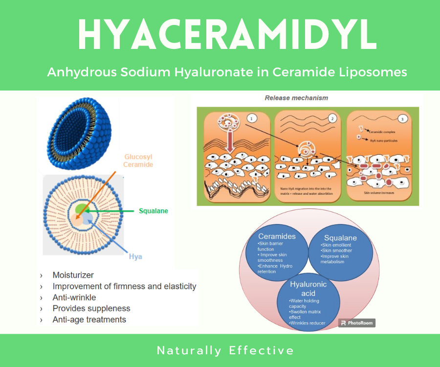 Hyaceramidyl    สารนวัตกรรม Sodium Hyaluronate ร่วมกับ SqualaneและCeramide  ในรูปไลโพโซม ช่วยลดเลือนริ้วรอย กระชับผิว
